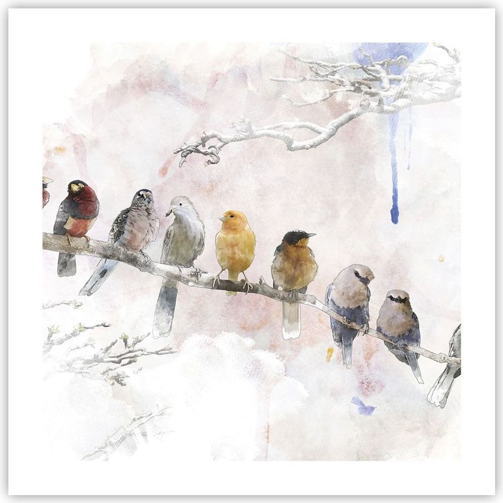 Poster - Poster ohne Rahmen - Vögel Kanarienvogel Zweig - 50x50 cm - Wand Bild - Wanddeko - Wandbilder - Kunstposter - Wandposter - Bilder - Kunst...