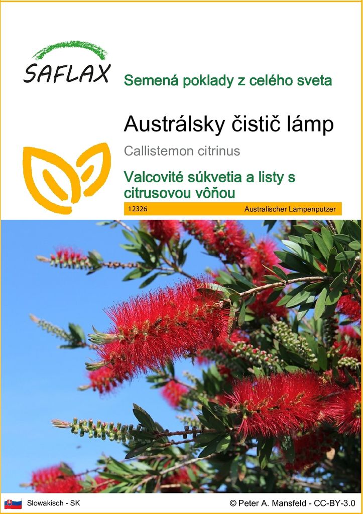 SAFLAX - Austrálsky čistič lámp - Callistemon citrinus - Obrázok produktu 