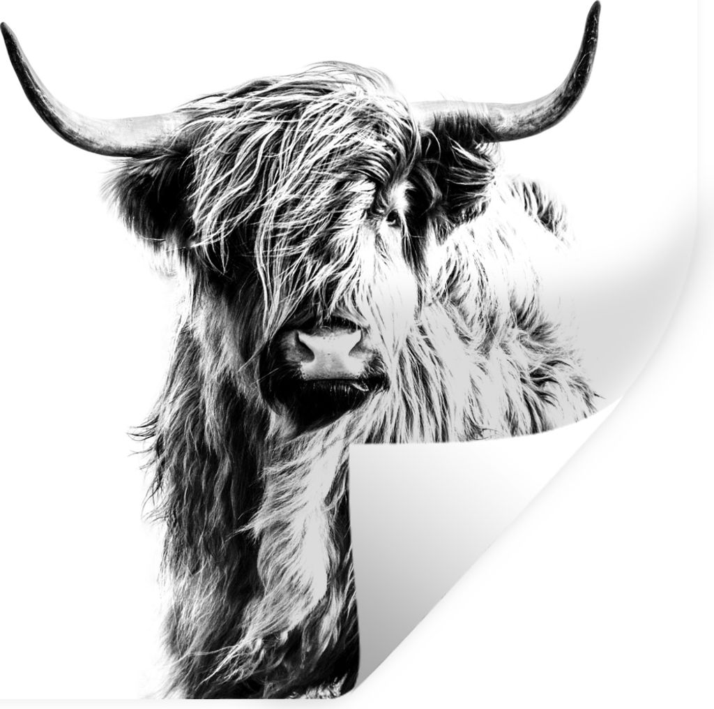 MuchoWow Wandtattoo Wandsticker Wandaufkleber Schwarz und Weiß - Schottischer Highlander - Tiere 100x100 cm Selbstklebend und Repositionierbar -...