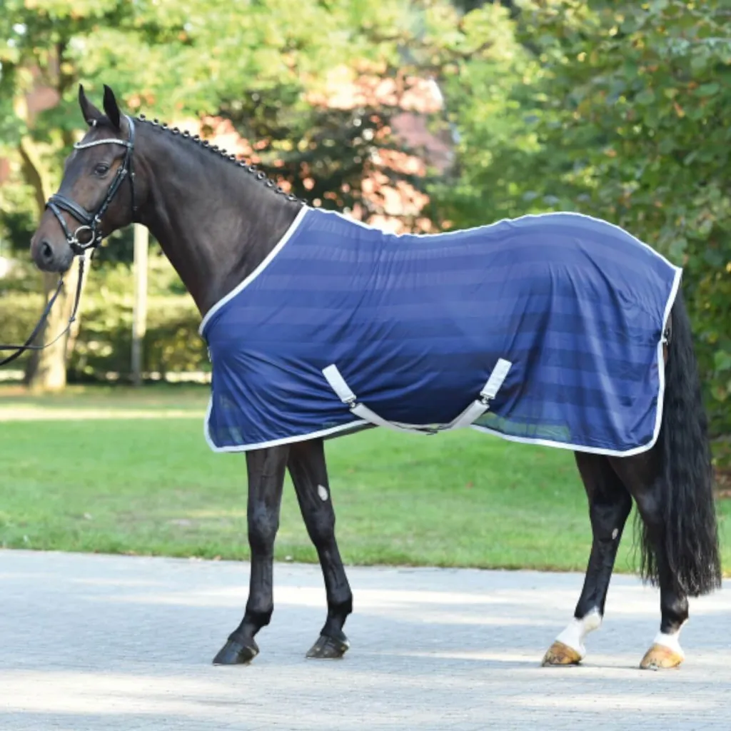 Busse transport fly rug STRIPE navy (argento), Busse_17_dimensioni:165 - 4