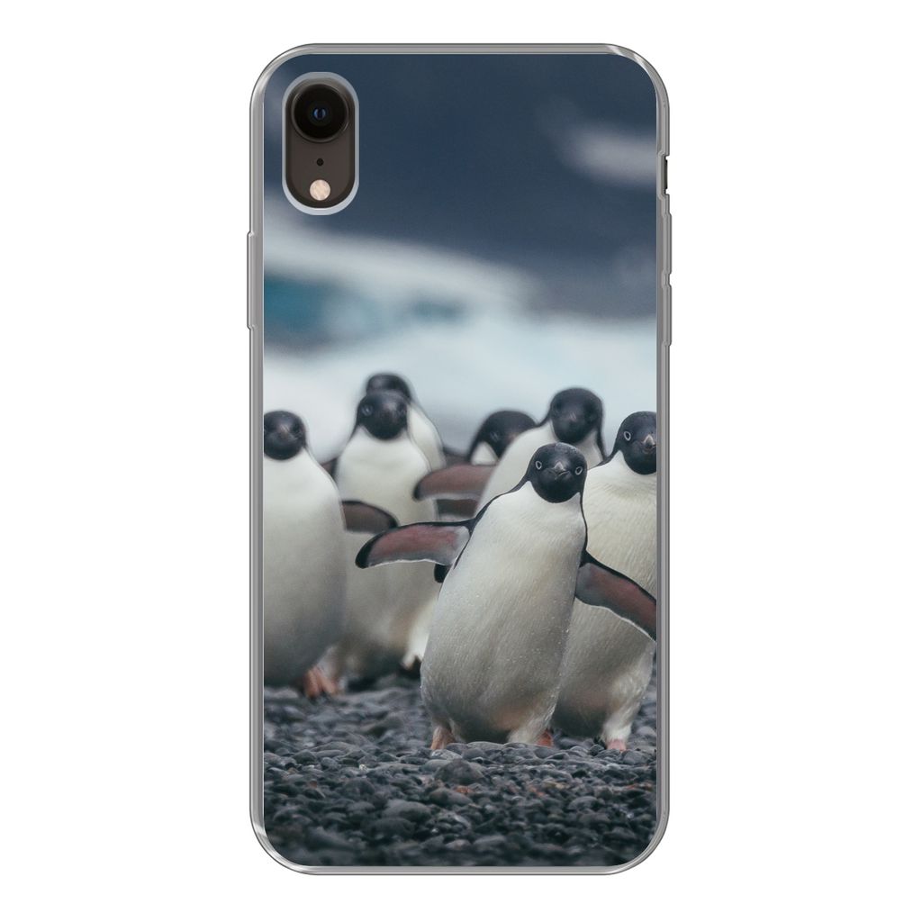 MuchoWow Handyhülle Schutzhülle Hülle für iPhone XR Adeliepinguine am Strand Silikon Softcase Handy Hülle - Schutzdeckel