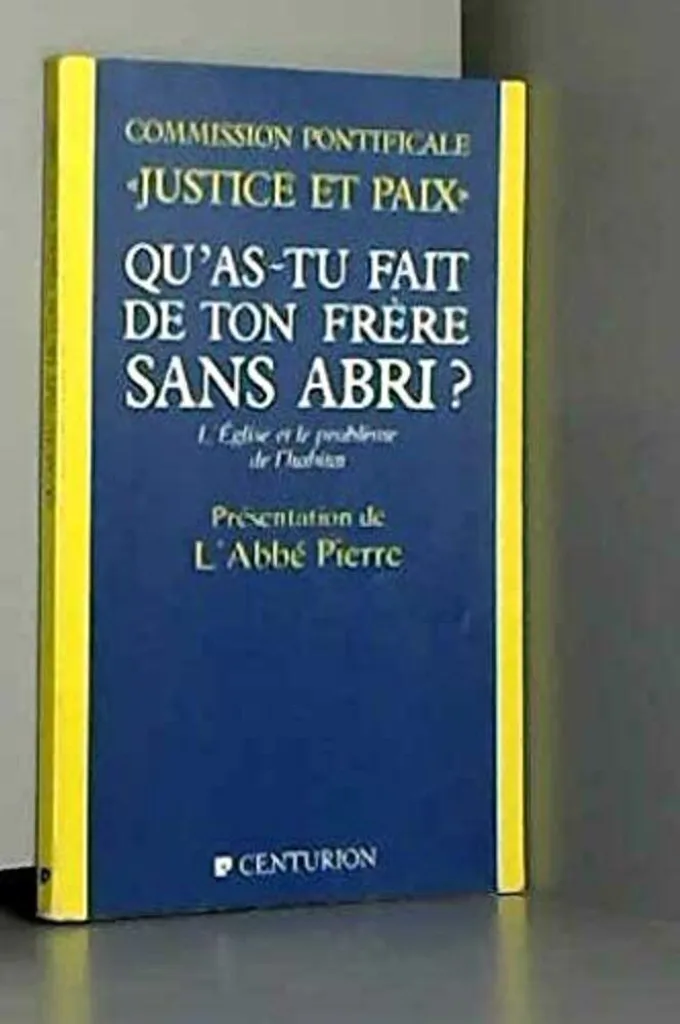 Qu'as-tu fait de ton frère sans-abri ? Un Récit Engagé de 200 Pages