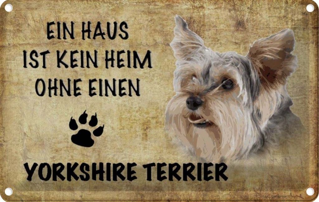 vianmo Blechschild 20x30 cm Yorkshire Terrier Hund Tier Haustier