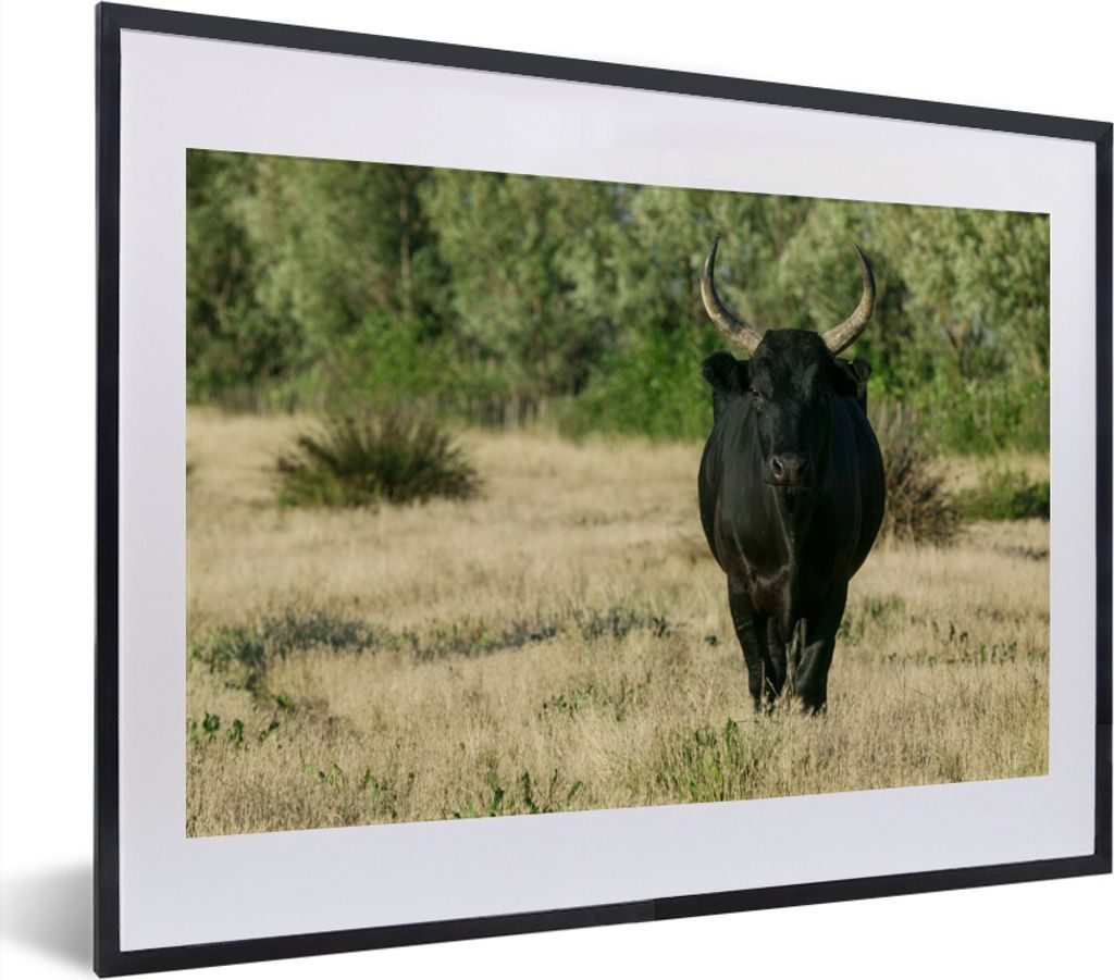 MuchoWow® MuchoWow® Gerahmtes Poster Ein schwarzer Bulle in Produktbild 