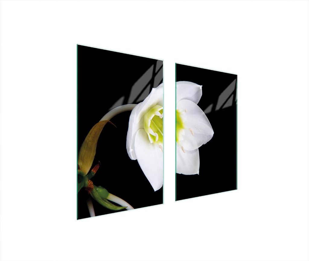 Glasschutzplatte Für Herd 75X52 Orchidee