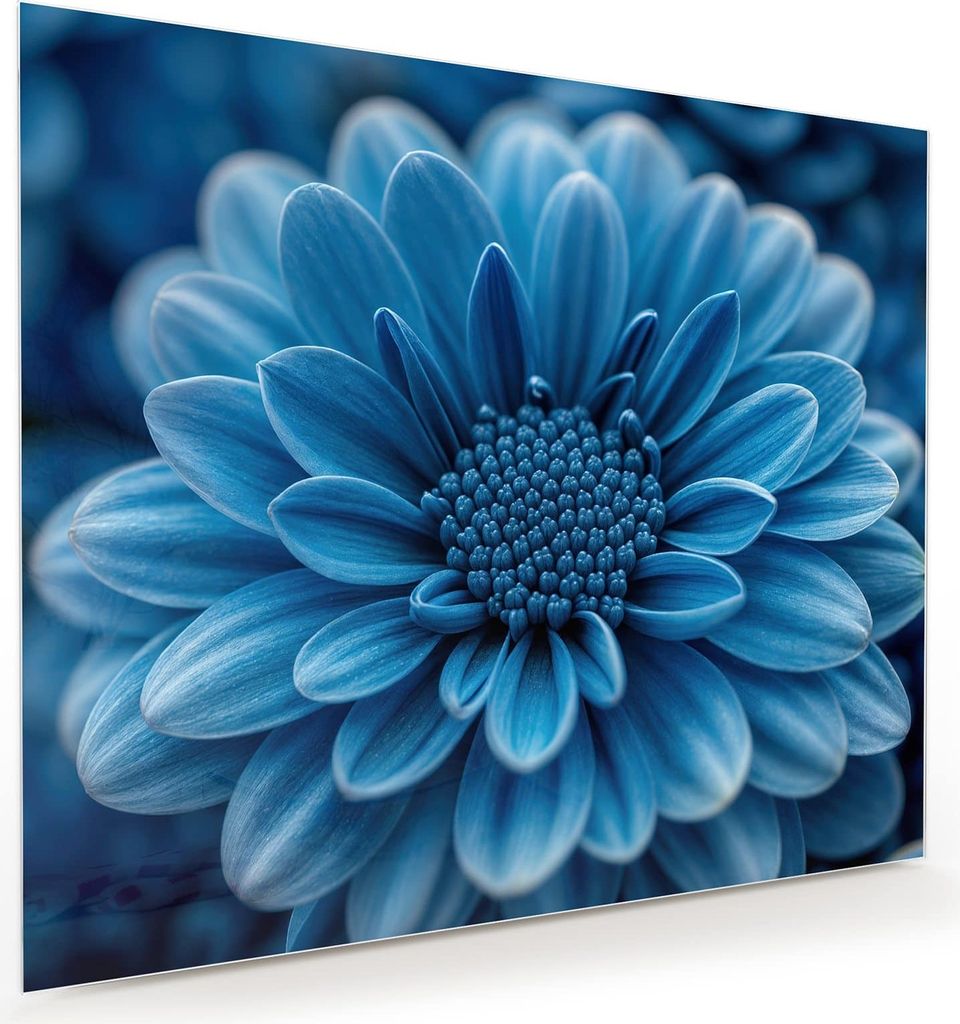 Glasbild 60x50cm in XXL für Wohnzimmer, Schlafzimmer Motiv Blaue Blume