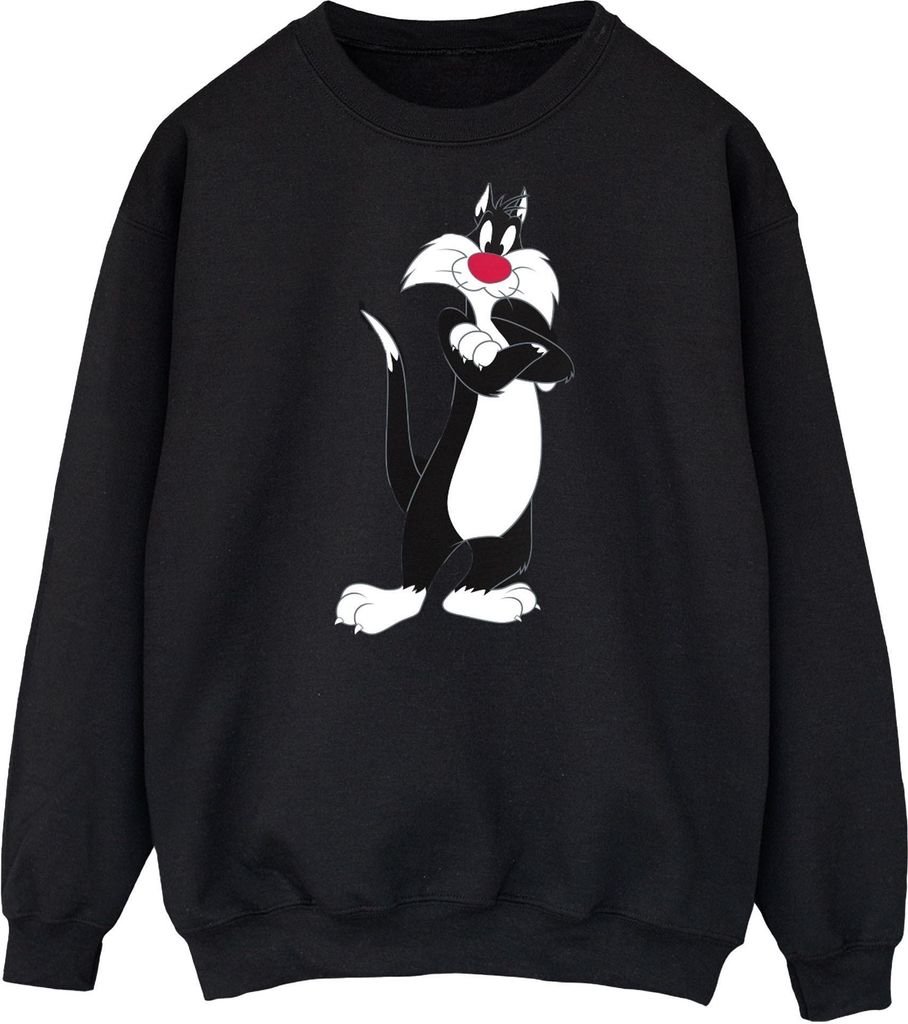 Looney Tunes - Sweatshirt für Herren BI48754 (XL) (Schwarz)