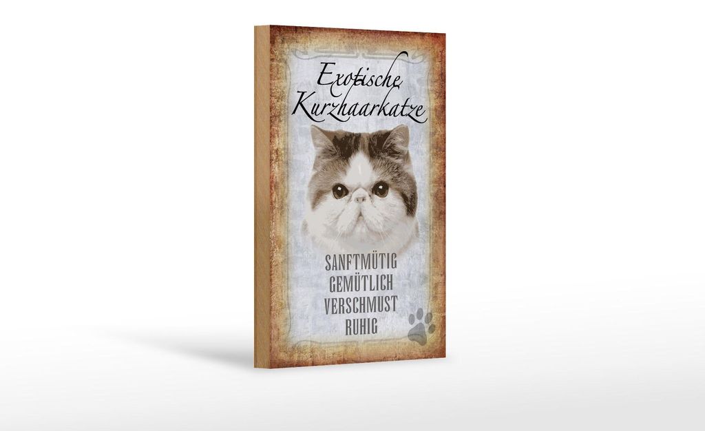 Holzschild Spruch 12x18cm exotische Kurzhaarkatze Katze