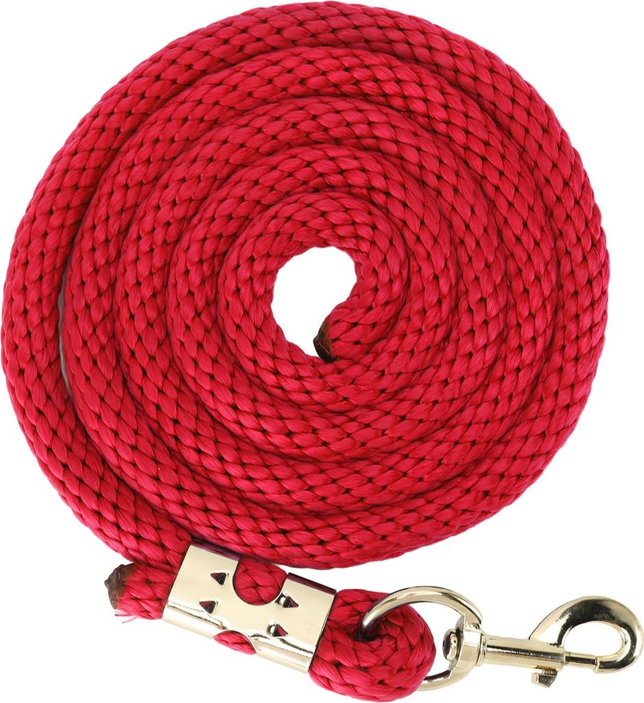 2m Horse Lunge Line Anti Breakage Seil Slip Grip Training mit Haken für das Wanderhandling rot