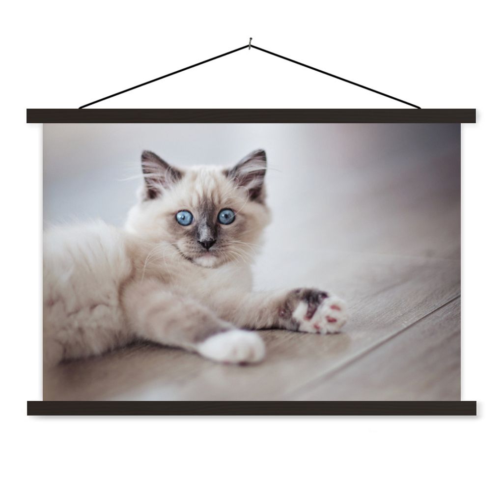 MuchoWow Textilposter Ein Ragdoll-Kätzchen liegt auf dem Boden 60x40 cm mit schwarzem Rahmen - Hölzernes