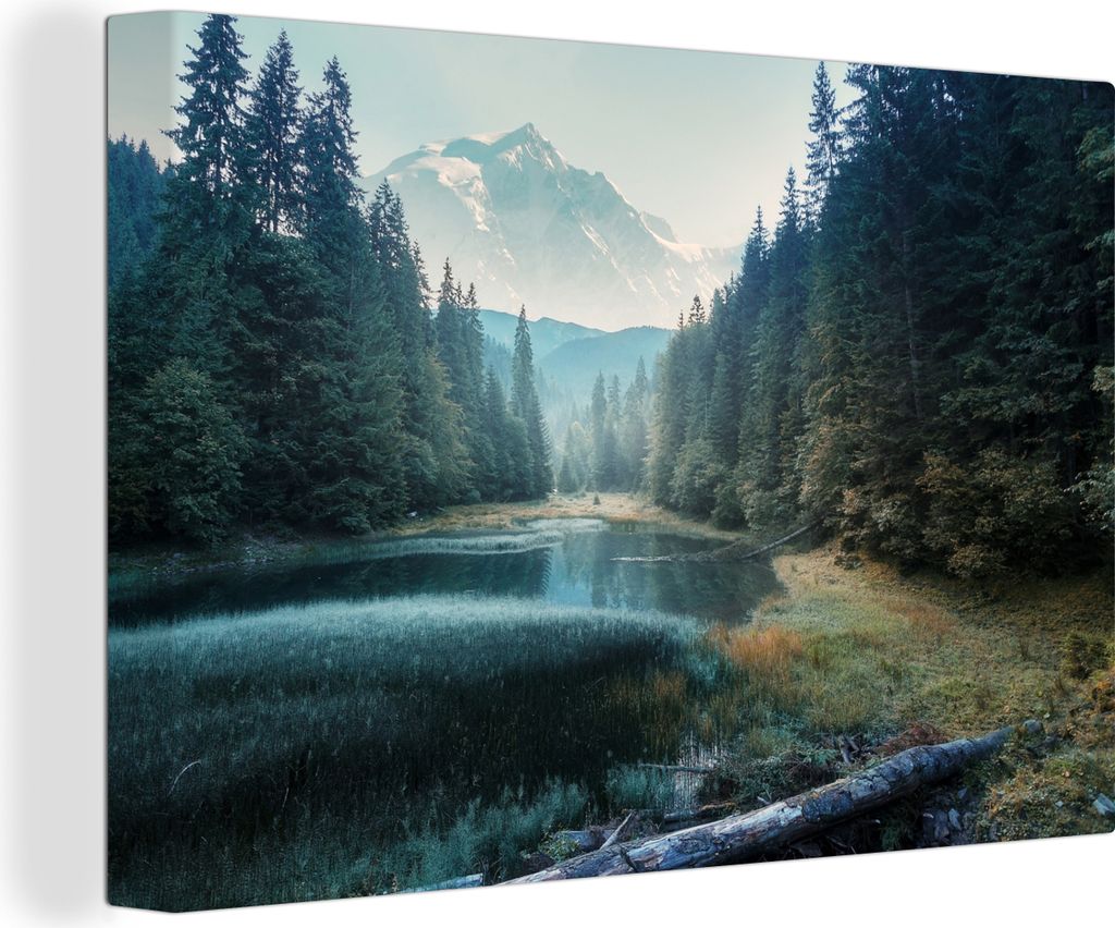 MuchoWow - Leinwandbilder - Wald - Gras - Berge - Bäume - Natur, Wandbild, Wanddeko Bilder Wohnzimmer, 30x20 cm