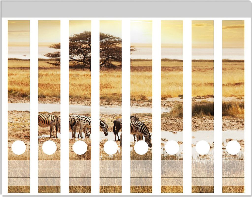 Wallario Ordnerrücken Sticker, selbstklebend für schmale Ordner, 8 Stück, Motiv Safari in Afrika eine Herde Zebras am Wasser