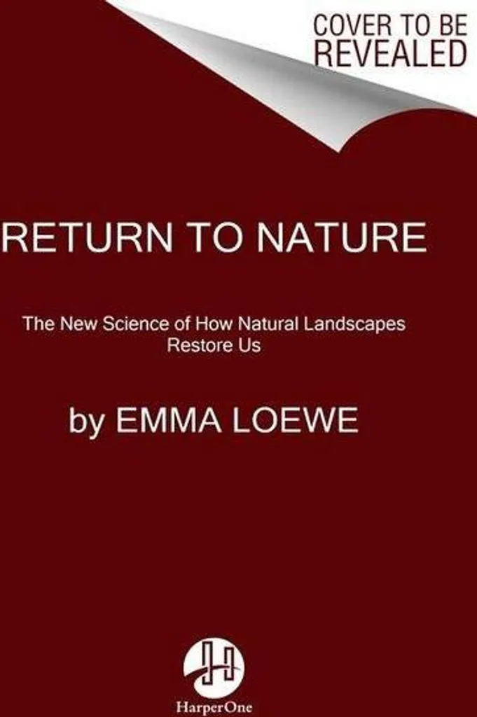 Gourde Isotherme Return to Nature Performance Thermique 24h Inox Vert Pin