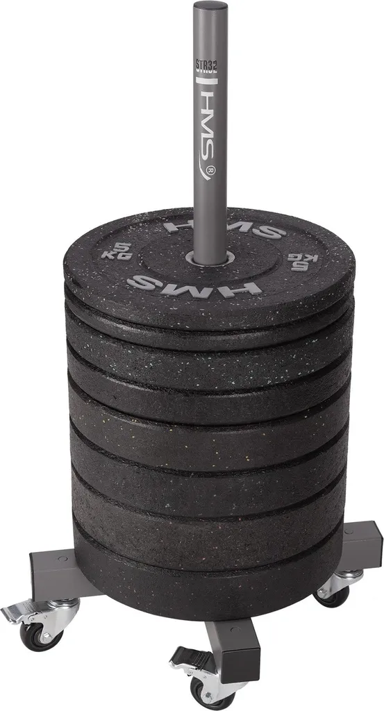 Rack de rangement disques de fonte pour salle de sport et musculation - 2