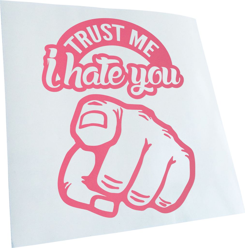 Kiwistar - Autoaufkleber - Trust me i hate you - Hellrosa - 24x18cm - Aufkleber für Auto, Laptop, Fahrrad, LKW, Motorrad mehrfarbig JDM Decal Racing