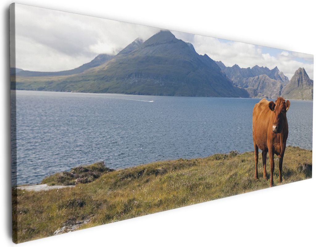 Wallario Premium Leinwandbild Kuh in den Bergen in Größe 60 x 150 cm