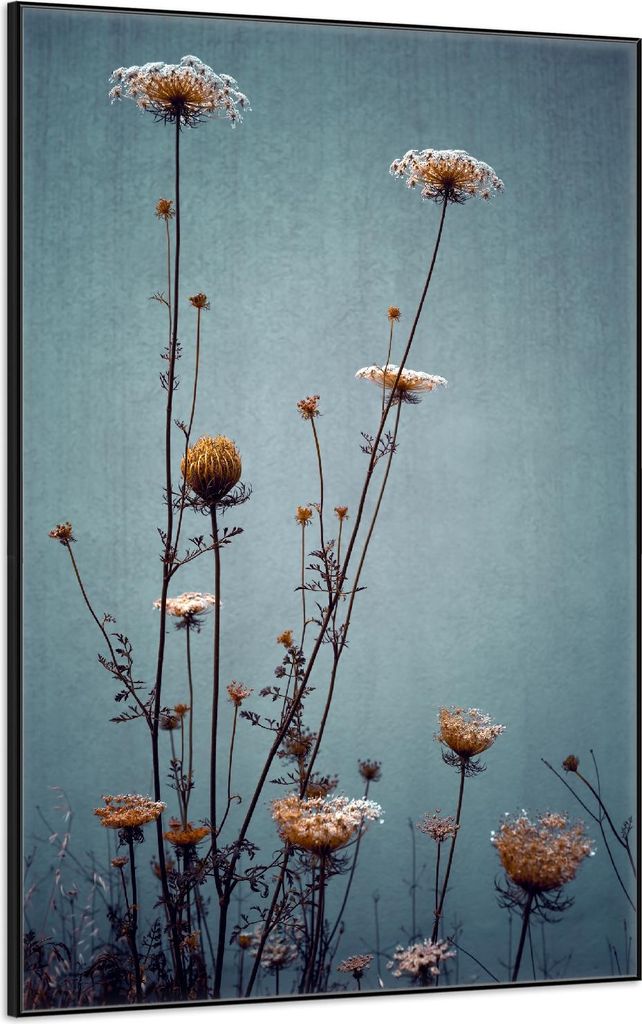 Wallario Wandbild Filigrane Wildblumen, Größe: 61 x 91,50 cm, Poster mit schwarzem Aluminiumrahmen