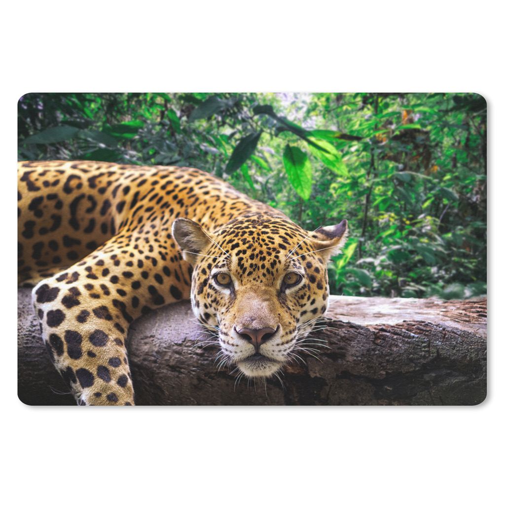 MuchoWow Mauspad Mousepad Jaguar ruht 27x18 cm - Mousepads - Maus Mat - Pad - Mausunterlage - Büroartikel - Desk Matten