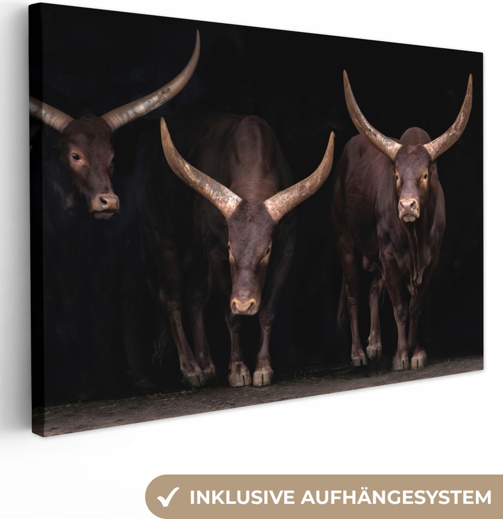 OneMillionCanvasses - Leinwandbilder - 140x90 cm, Stiere - Tiere - Braun - Dunkel, Wandbilder Kunstdruck Wanddekoration - Foto auf Leinwand - Gem...