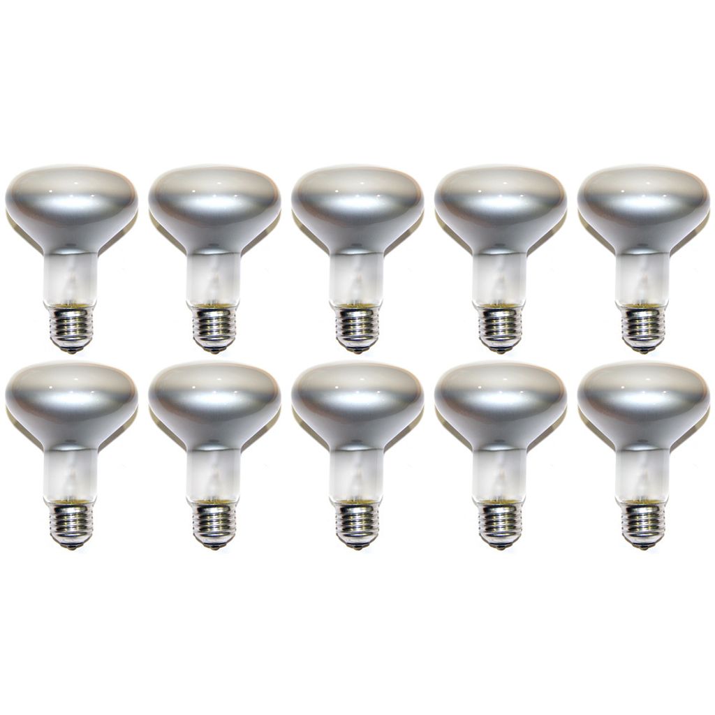 10 x Reflektor Glühbirne R80 100W Glühlampe E27 Spot Produktbild 