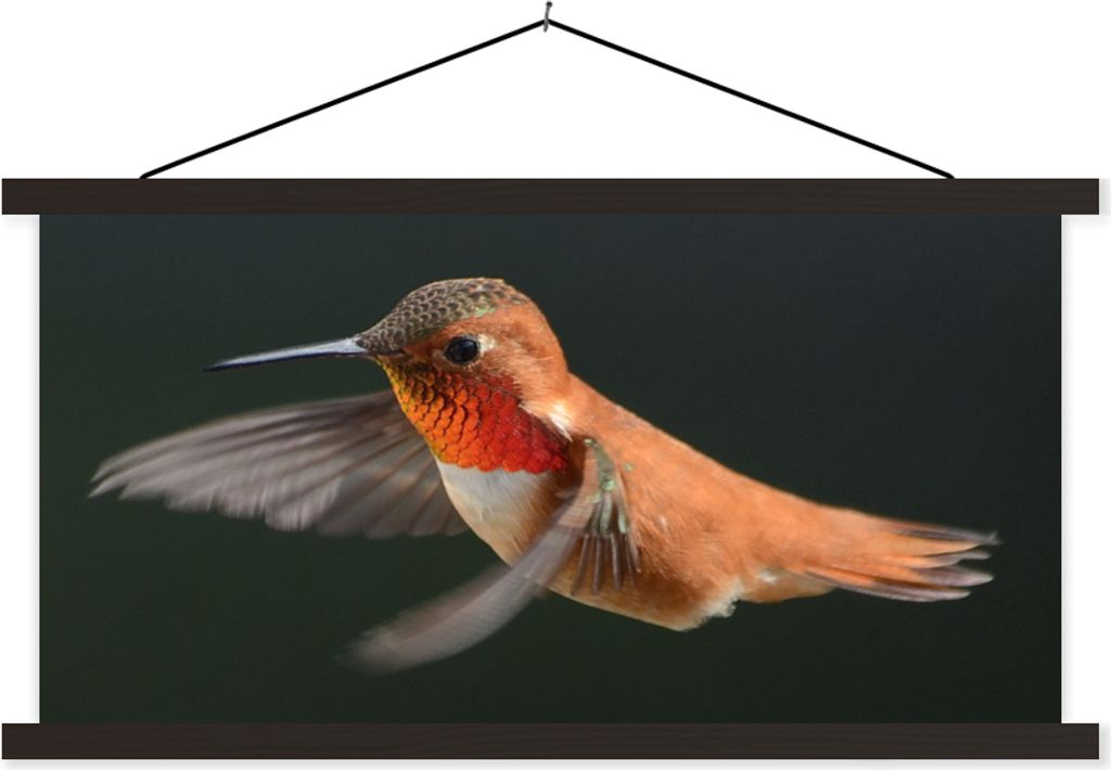 MuchoWow Textilposter Kolibri - Federn - Schwarz 90x45 cm mit schwarzem Rahmen - Klemmleisten
