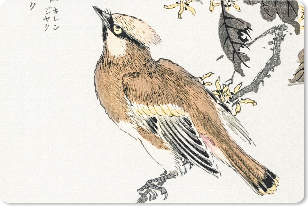 MuchoWow Schreibtischunterlage Vogel - Braun - Japanisch - Skandinavisch 60x40 cm - XXL Mauspad - Großes Mauspad