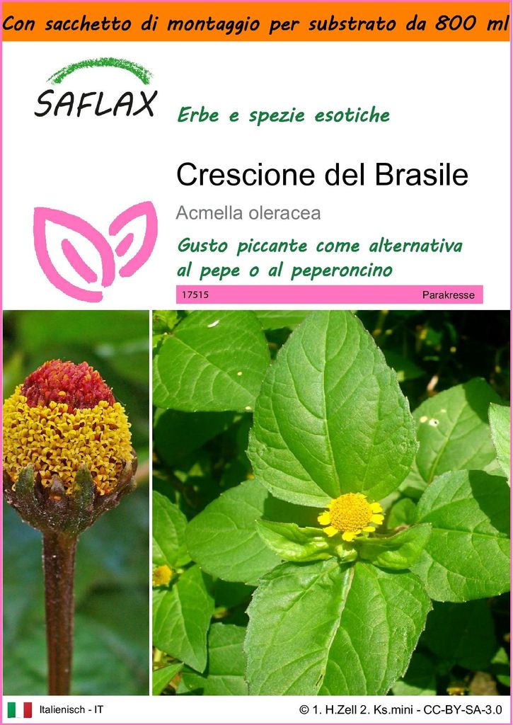 SAFLAX Garden in the bag - Crescione del Brasile - 500 semi Immagine del prodotto 