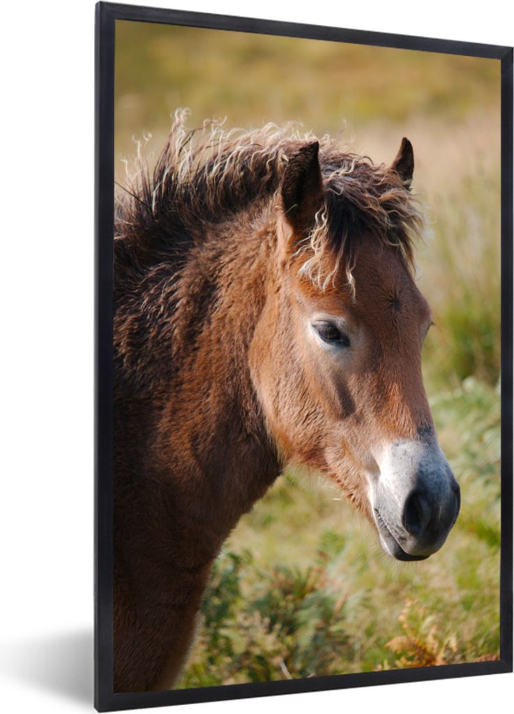 MuchoWow MuchoWow Gerahmtes Poster Pferd - Pony - Porträt 20x30 cm - Poster mit zchwarzem Bilderrahmen - Drucken - Bilder Poster im Rahmen