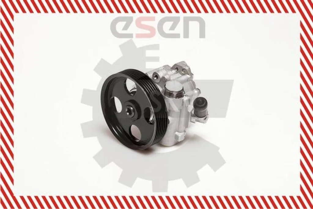 Pompe de Direction Assistée 10SKV098 Hydraulique Haute Performance