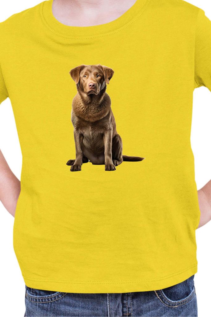 Kinder T-Shirt Dogs Breeds Chesapeake Bay Retriever Dog Breed 007, 7-8 Jahr - 128 / Gelb