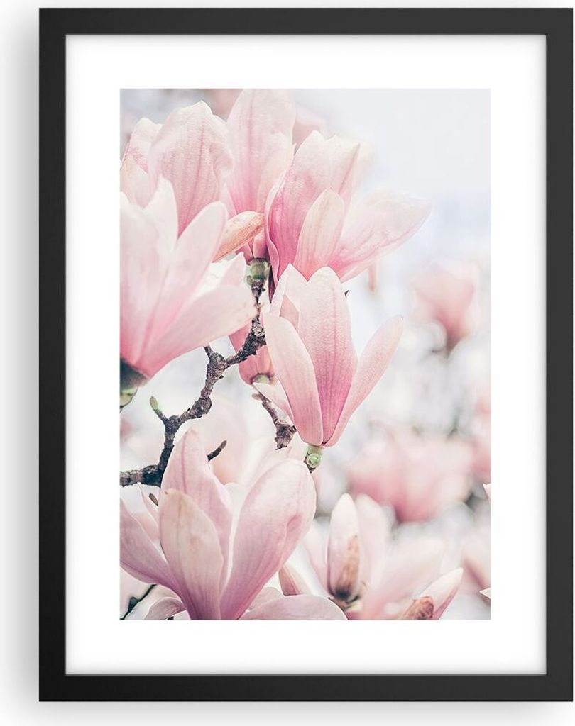 Gerahmtes Poster - Schwarzer Rahmen - Magnolie Blumen Rosa - 30x40 cm - Wand Bild - Wanddeko - Wandbilder - Kunstposter - Wandposter - Bilderrahmen...