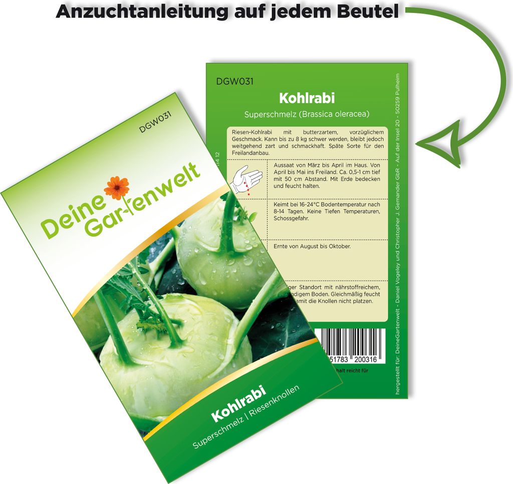 Kohlrabi Superschmelz Samen - Brassica oleracea - Produktbild 3