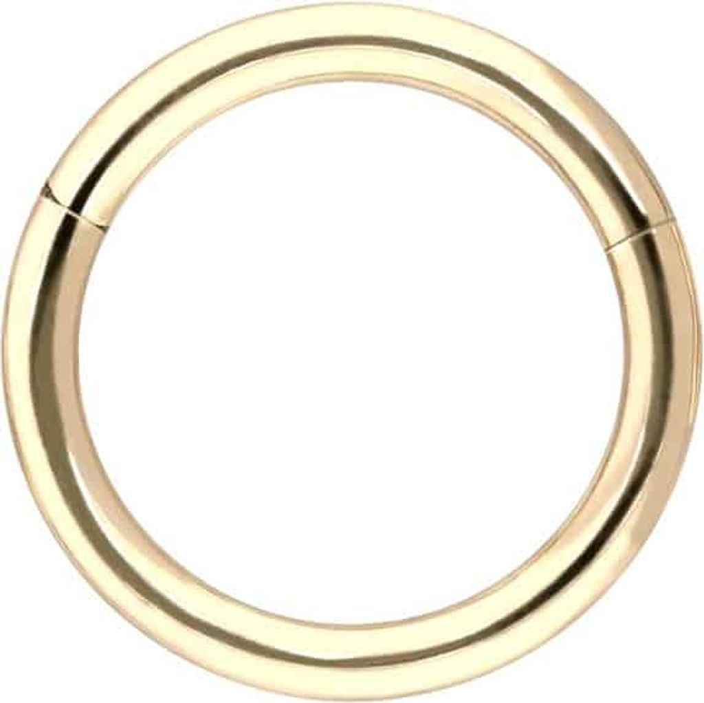 Ohrpiercing, Nasenpiercing, Septum Piercing 14/18 Karat Gold Segmentring Clicker 18 Karat | Gold Innendurchmesser: 7mm | Stabstärke: 0,8mm