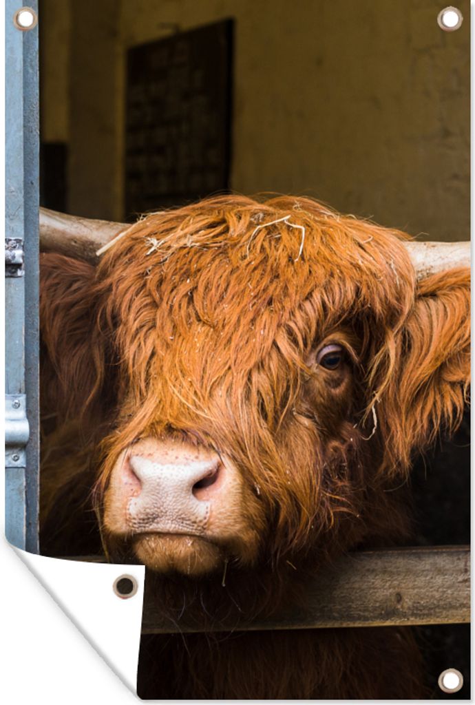 MuchoWow 40x60 cm Outdoor-Poster Gartendeko Sichtschutz Garten Poster für den Garten Schottischer Highlander - Bauernhaus - Scheune