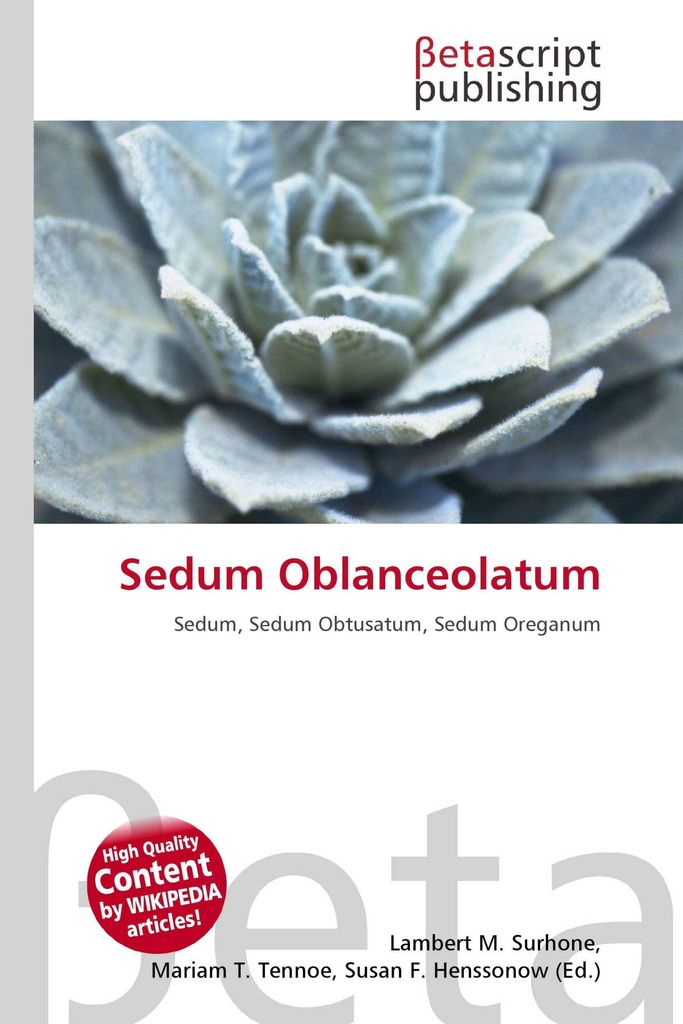 Sedum Oblanceolatum