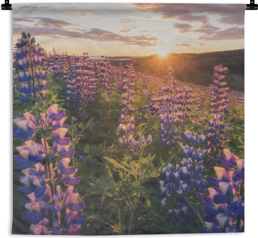 MuchoWow Wandteppich Wandbehang Lupine - Sonne - Lila 150x150 cm Tapisserie Dekoration Wandtuch - Wohnaccessoires - Modernes