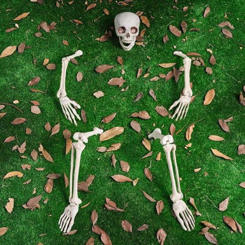 Piquets squelettes réalistes - Déco Halloween robuste pour vent et pluie