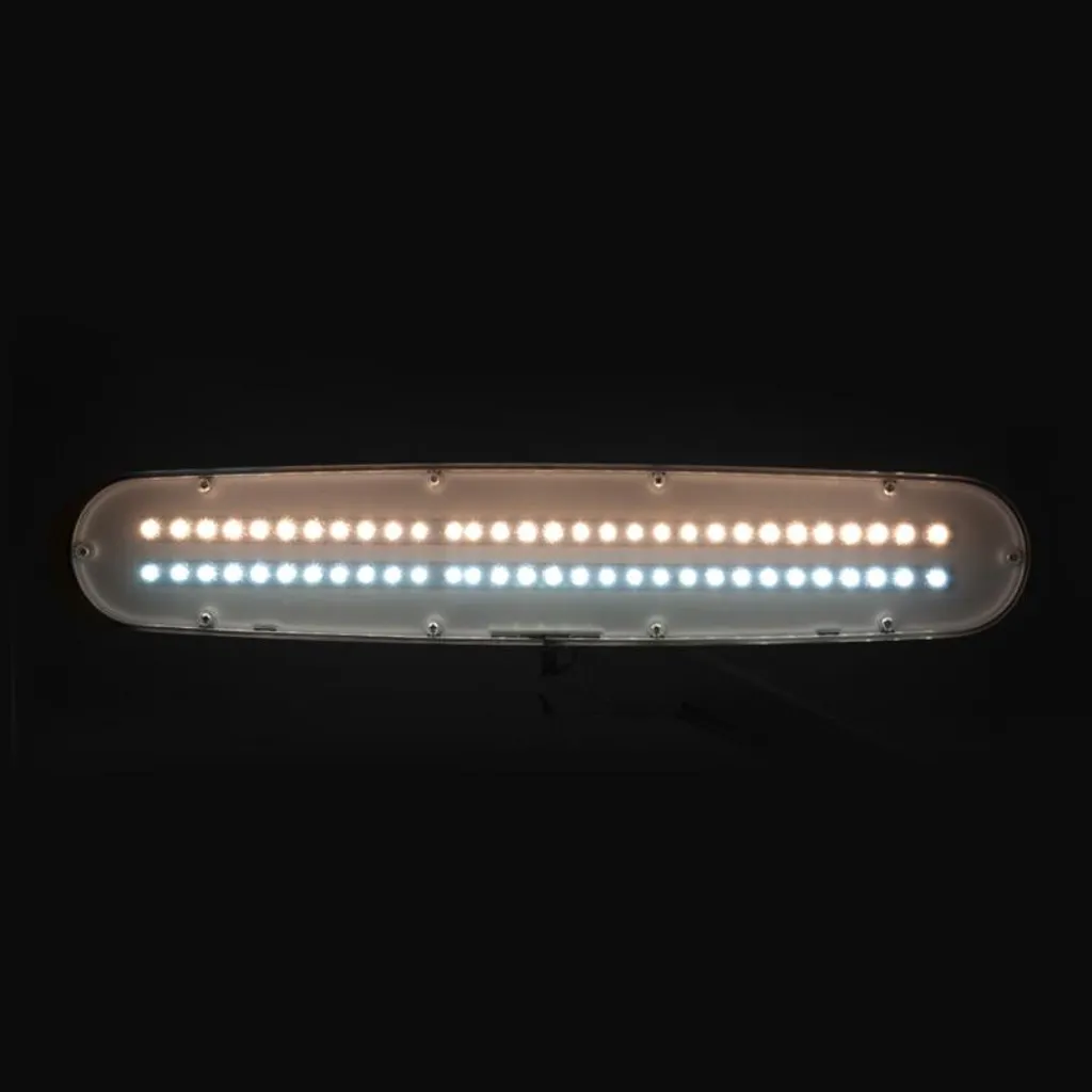 Éclairage sur pied professionnel 801-Tl LED à intensité variable - Blanc