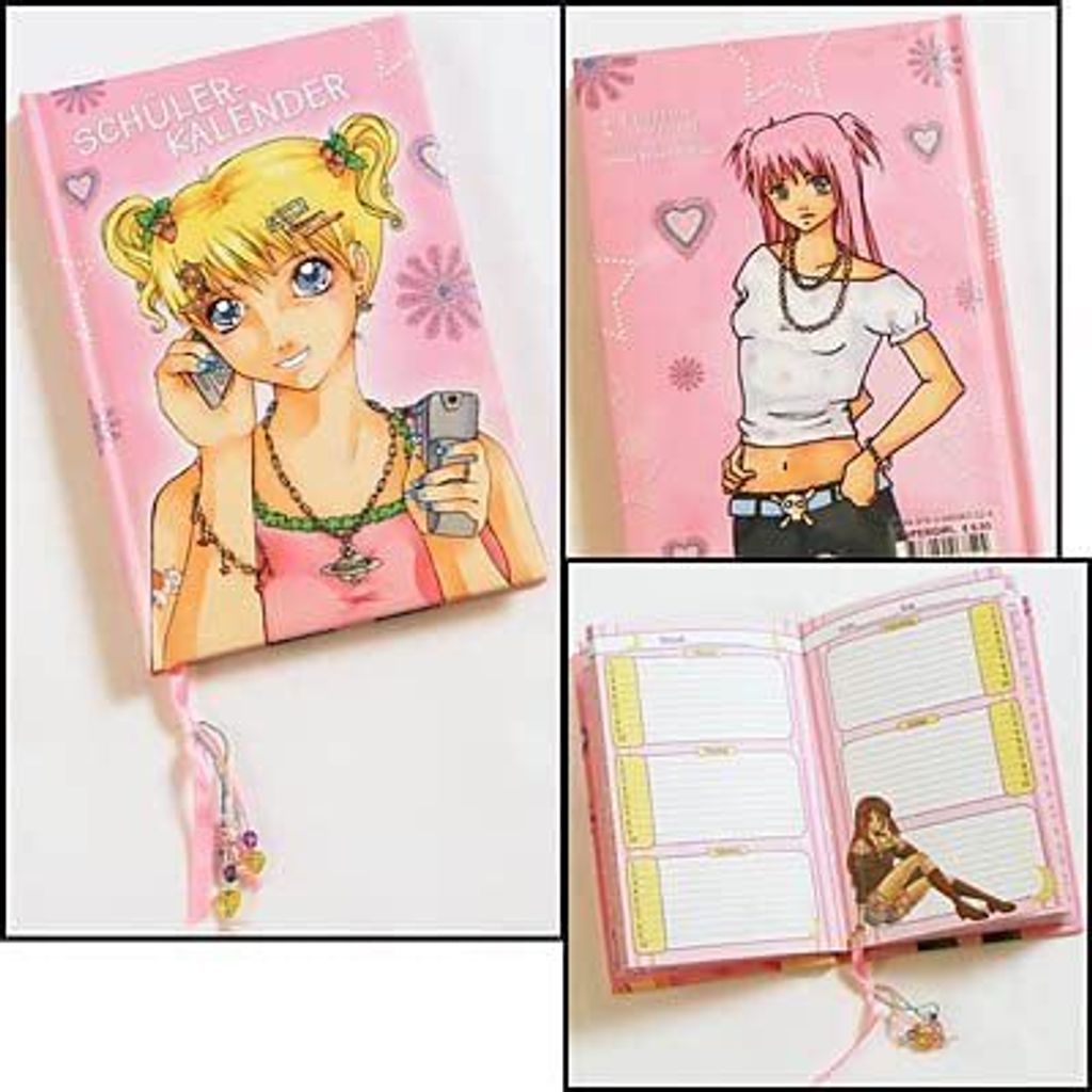 Schülerkalender Supergirl, 65 Blatt, ca. 14x21x1,5 cm, hochwertiger Softeinband mit Glitzercover, (EVP 6,95 Euro)