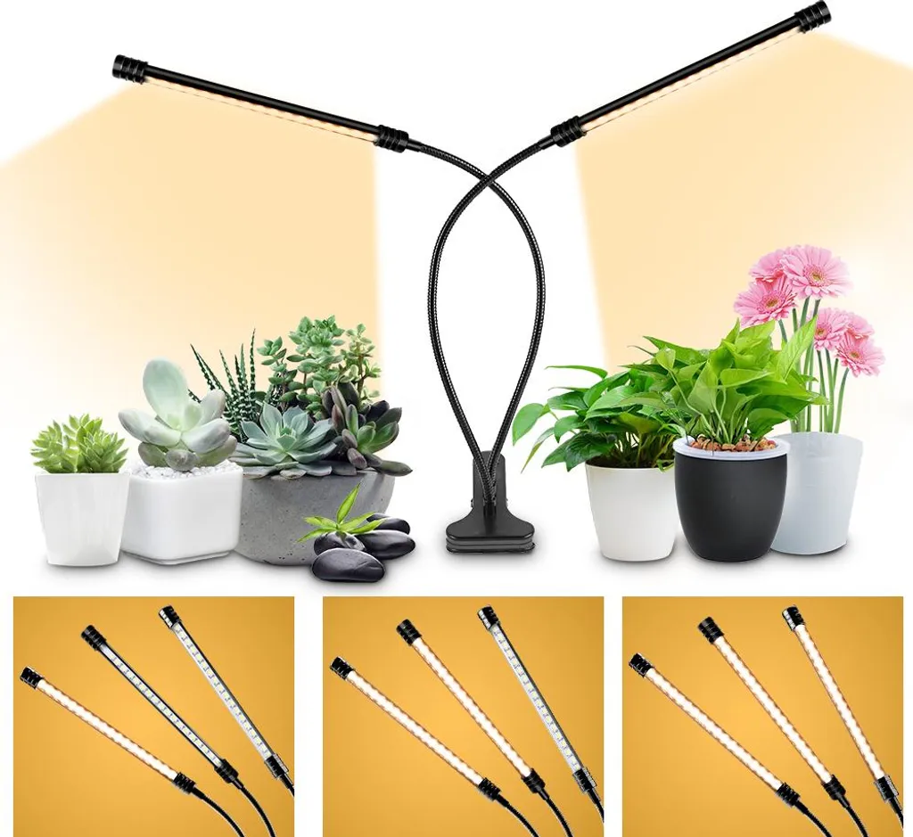 Éclairage pour Plantes d'Intérieur Manquant de Lumière avec Pince