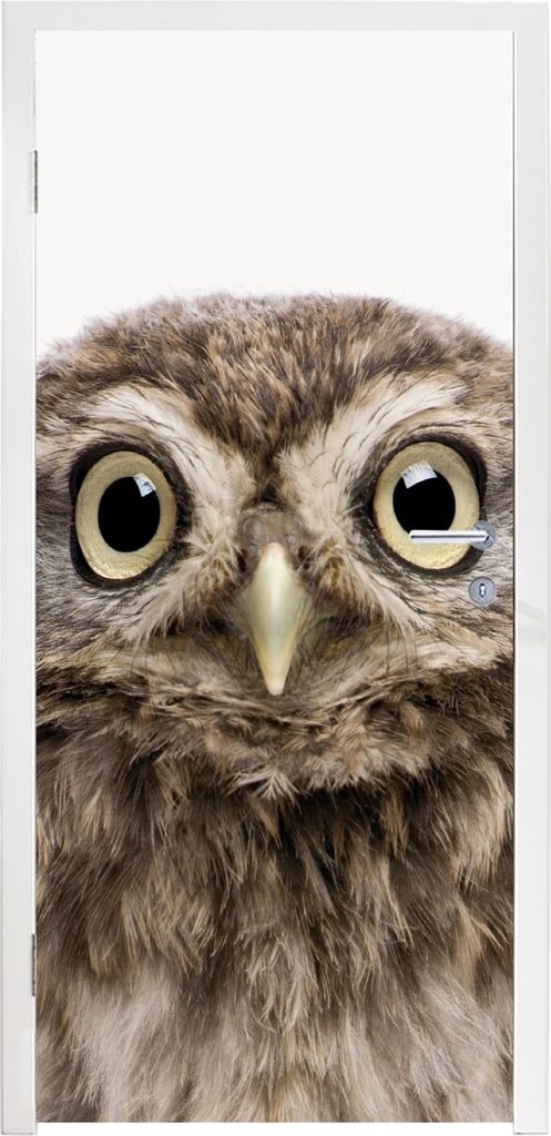 MuchoWow Türtapete Selbstklebende Türfolie Eule - Eule - Porträt - Braun - Vogel - Jungen - Mädchen 80x215 cm Türposter Türaufkleber Klebef...
