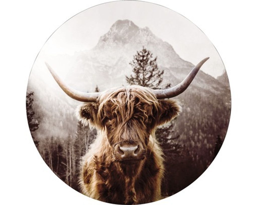 Metallbild Alu Scottish Highland Cattle Ø 98 cm