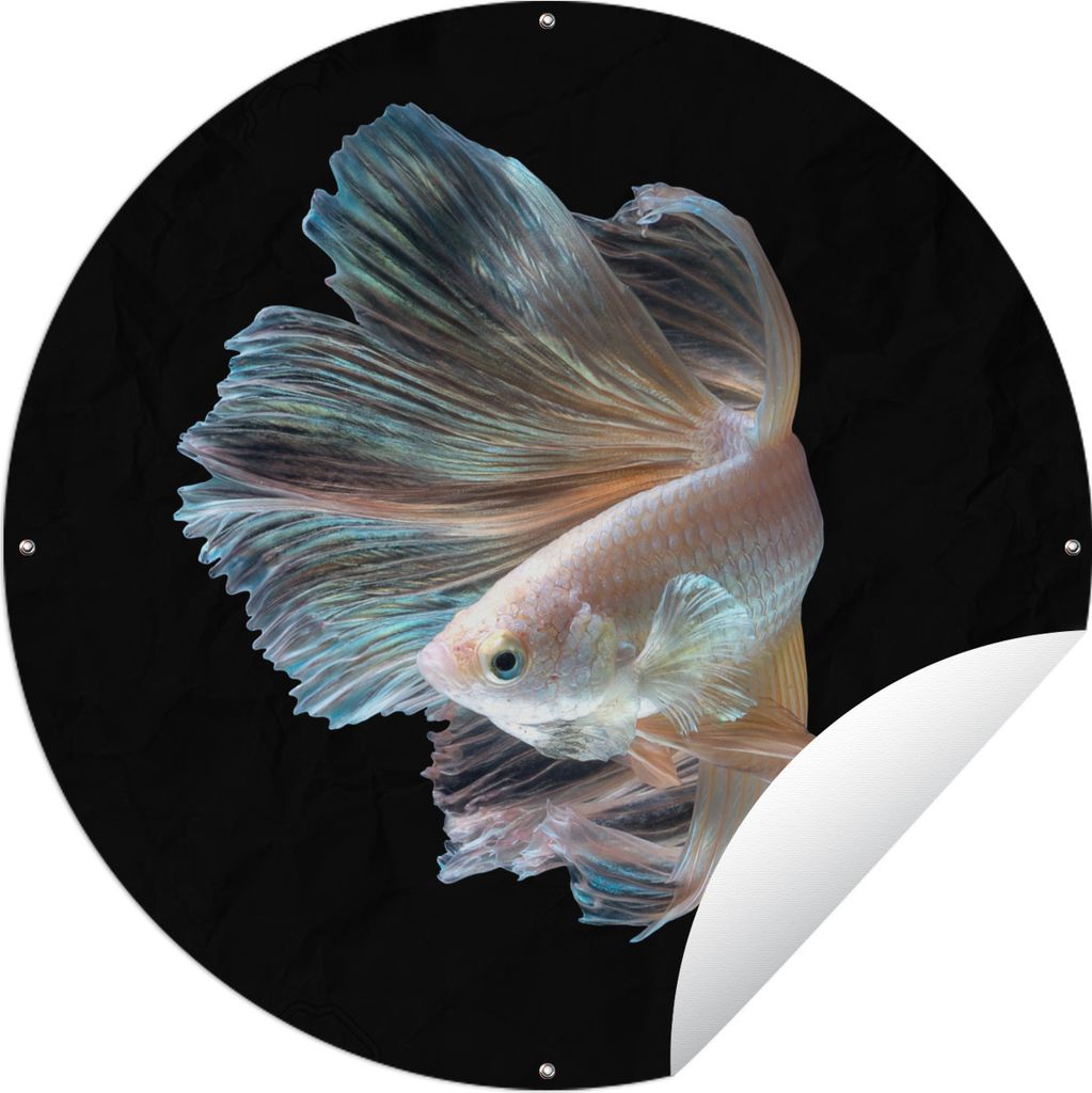 MuchoWow Gartenposter Outdoor-Poster Rund Fisch - Schwanz - Schwarz Ø 150 cm Gartendeko Rundes Poster draußen