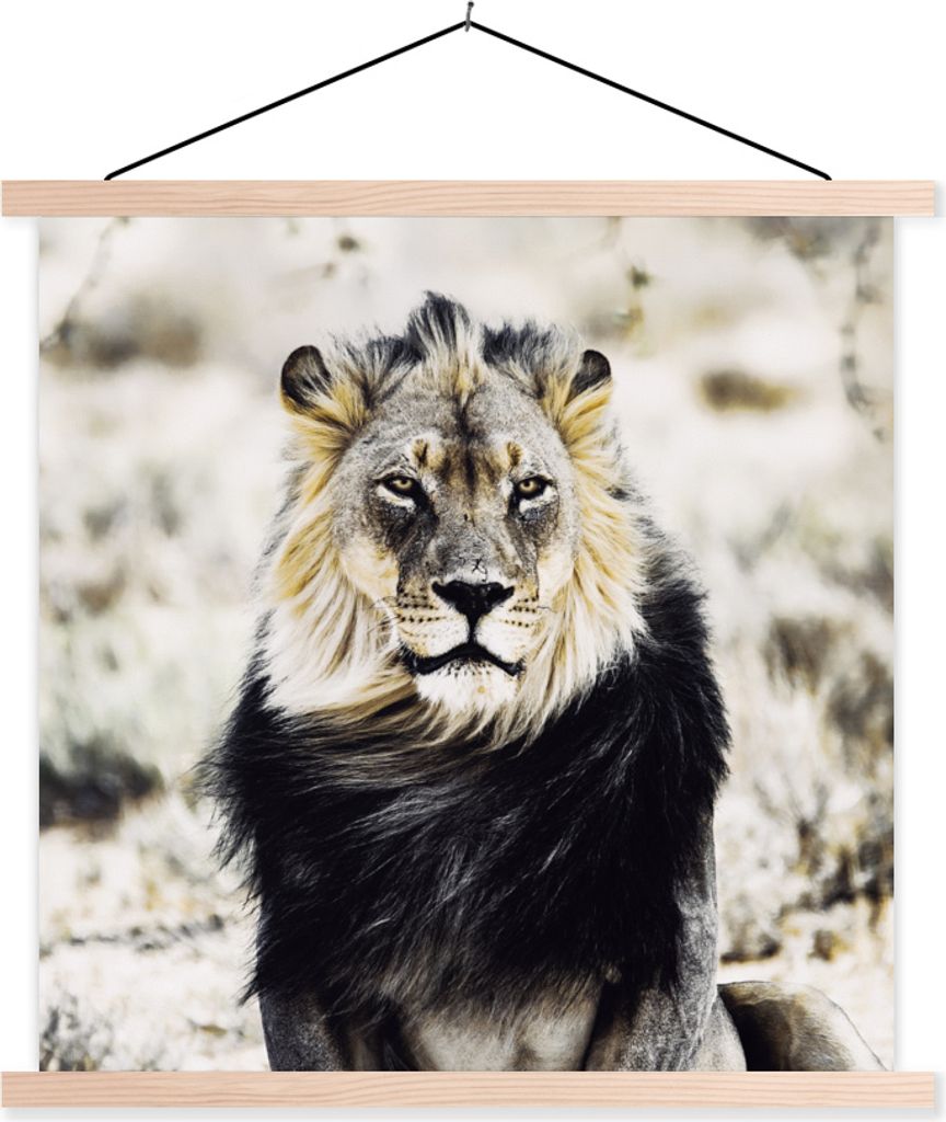 MuchoWow® Textilposter Wilde Tiere - Löwe - Schwarz 120x120 Produktbild 