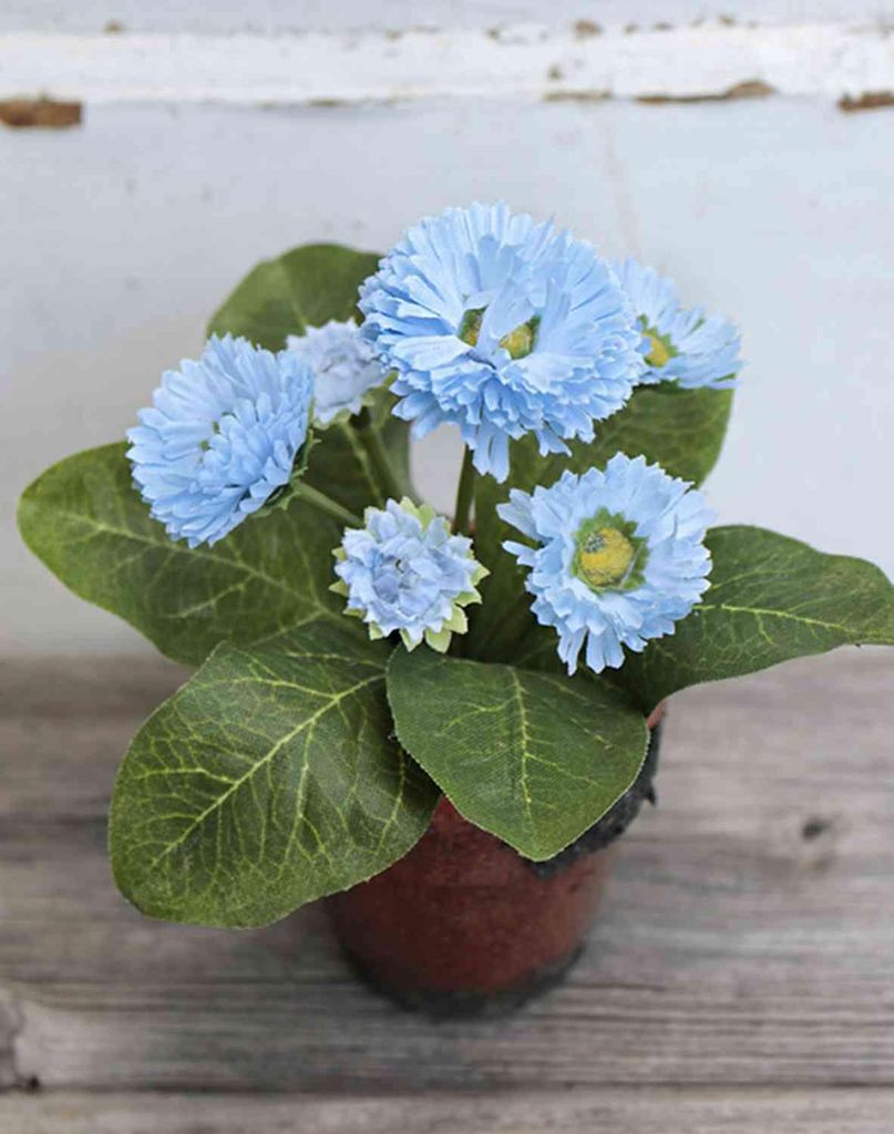 artplants.de Künstliche Gänseblümchen Morgana, Terracottatopf, hellblau, 15cm - Gänseblümchen Deko/Seidenblumen