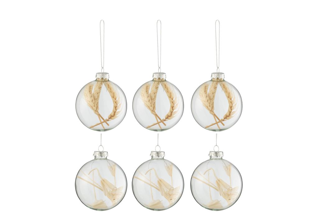 J-Line Box Mit 6 Weihnachtskugeln 3+3 Getrocknete Zweige Beige Glas Durchsichtig Small