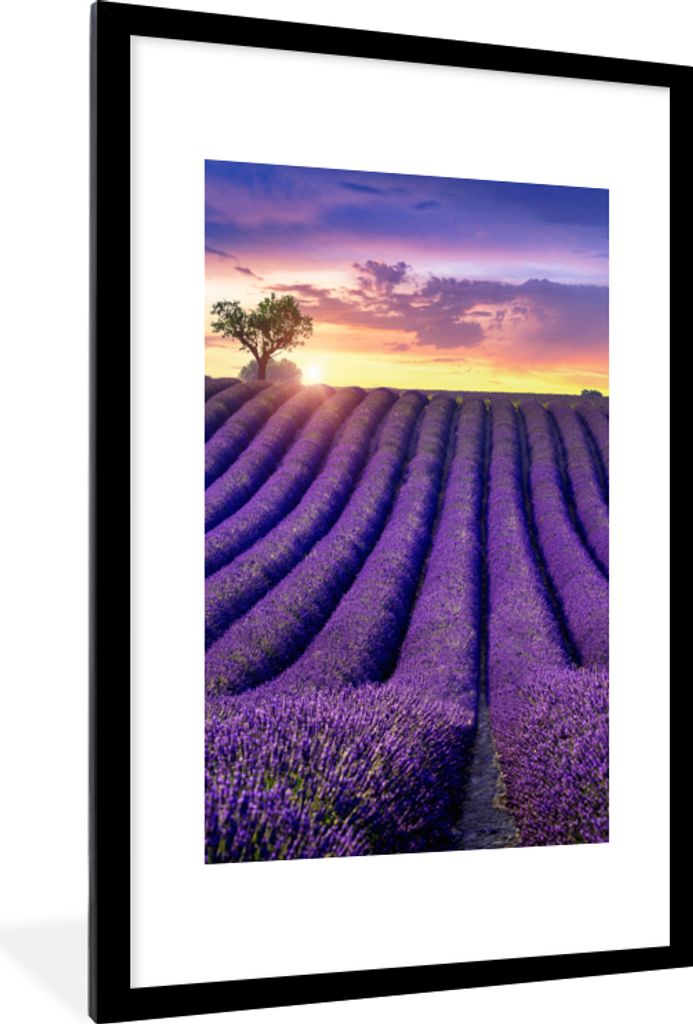 MuchoWow Gerahmtes Poster Lavendel - Hügel - Sonnenuntergang - Bpmen - Lila 60x90 cm - Poster mit Schwarzem Bilderrahmen Wandposter Rahmen Foto ...