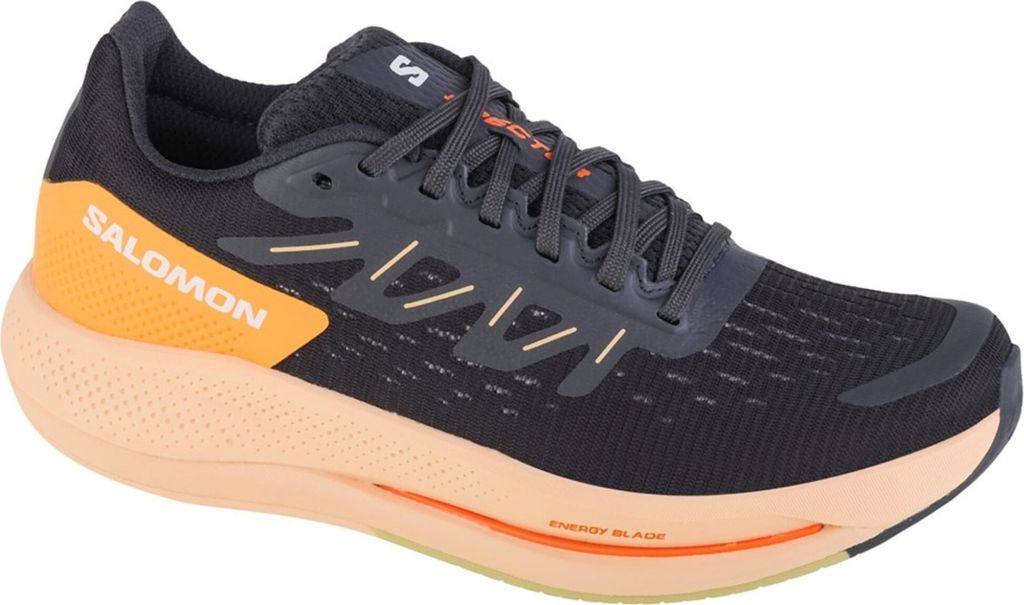 Salomon Schuhe Spectur W, 415893
