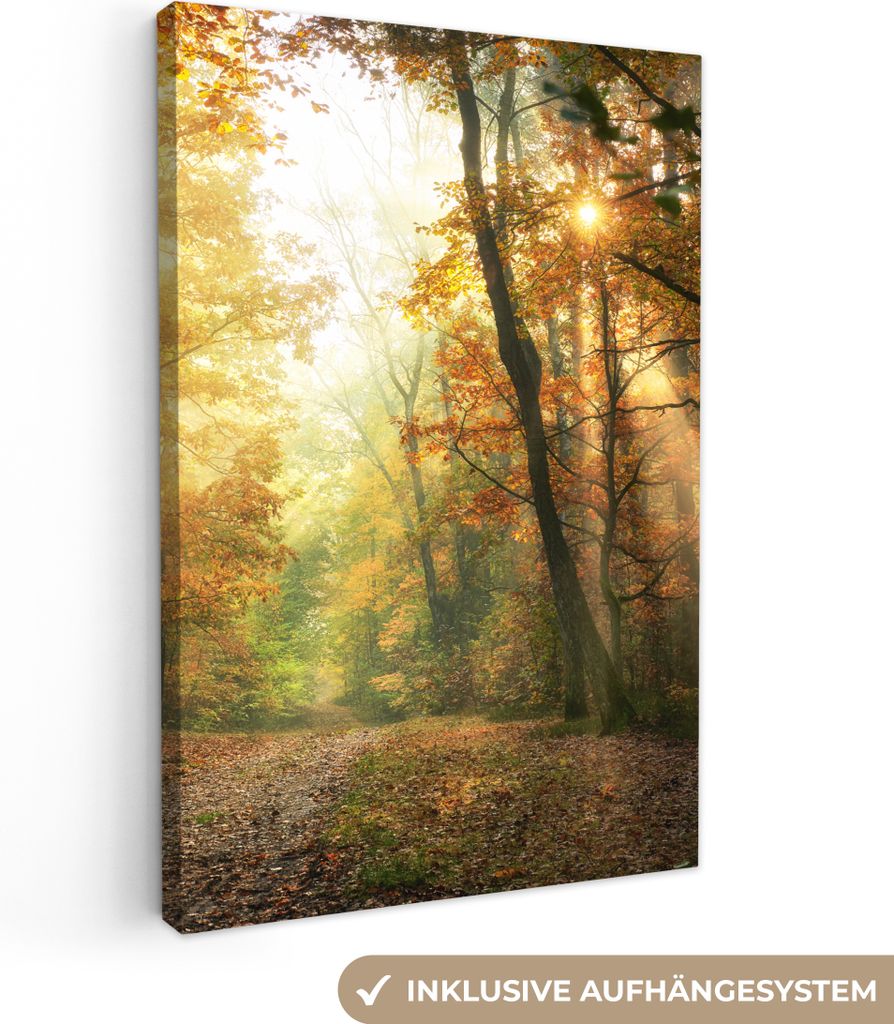 MuchoWow - Leinwandbilder - Wald - Herbst - Sonne - Landschaft - Natur - Bäume - Laub, Wandbild, Wanddeko Bilder Wohnzimmer, 80x120 cm