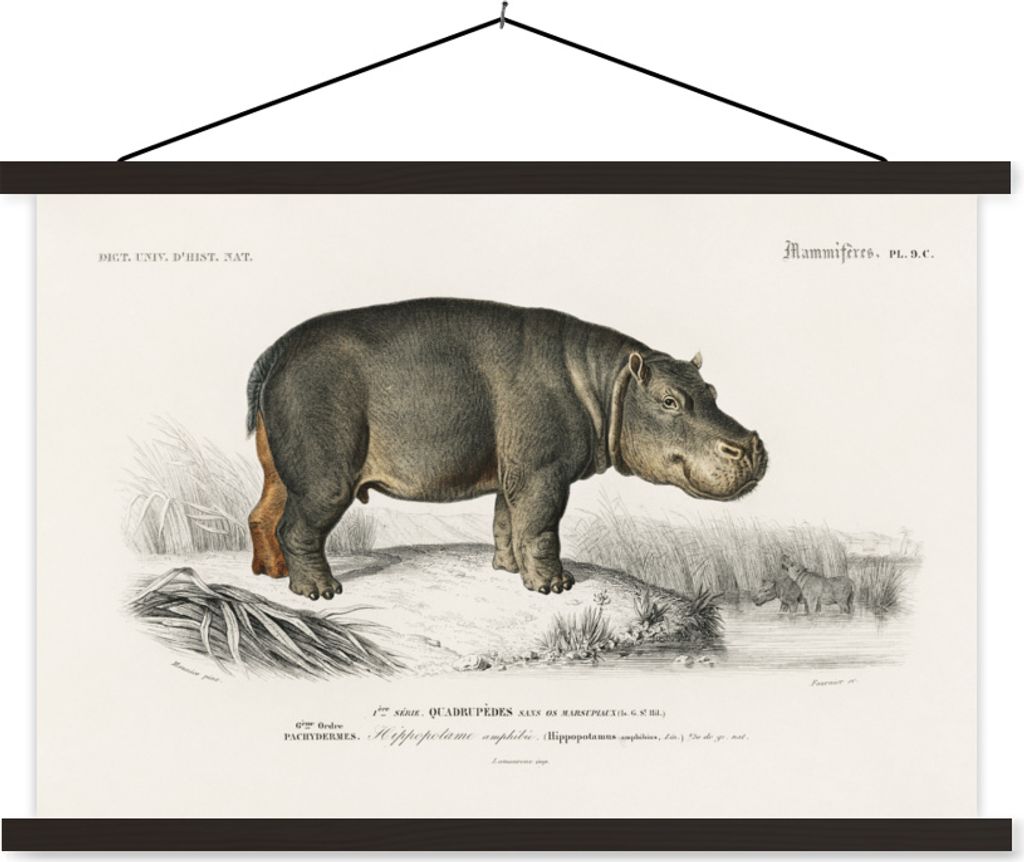 MuchoWow Textilposter Nilpferd - Vintage - Landschaft 60x40 cm mit schwarzem Rahmen - Hölzernes